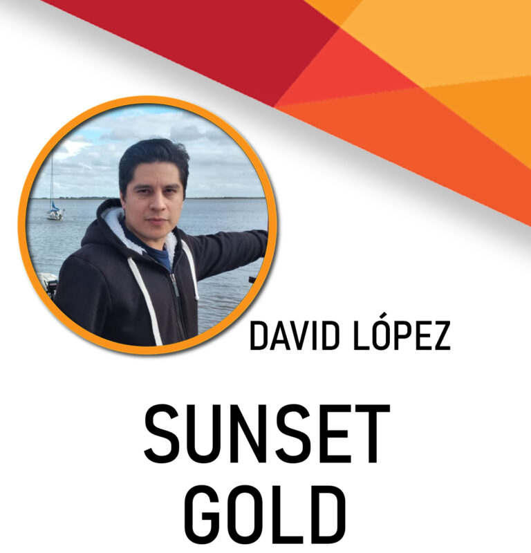 perfil notas sunset.jpg