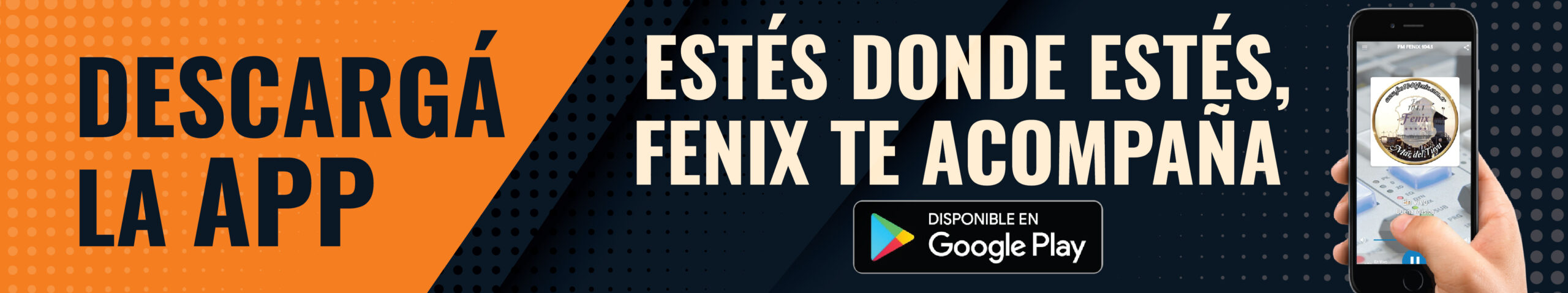 placas pagina web fenix 2025 02